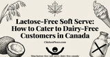 Lactose-Free Soft Serve: How to Cater to Dairy-Free Customers in Canada
