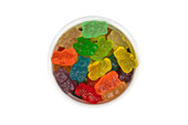 Chicken Pieces Gummy Bears 12 Flavors Bulk Food Service 20 lbs/9.07 kgs 