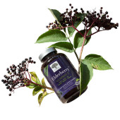  New Nordic Elderberry Gummies - 60 Gummies, 2-pack | Natural Immune Support 