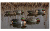 Avian-X Topflight Green Winged Teal Duck Decoys (4 Drakes and 2 Hens). CHICKEN PIECES.