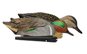Avian-X Topflight Green Winged Teal Duck Decoys (4 Drakes and 2 Hens). CHICKEN PIECES.