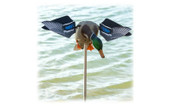 Avian-X PowerFlight Mallard Drake Motorized Duck Decoy with Remote. CHICKEN PIECES.