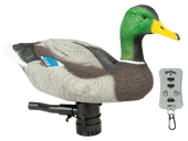 Lucky Duck Super Swimmer HDi Mallard Motorized Duck Decoy with Remote Kit. CHICKEN PIECES.
