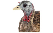 Avian-X LCD Lookout Hen Turkey Decoy. CHICKEN PIECES.