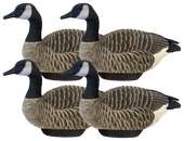 Lifetime Decoys Flexfloat Canada Goose Decoys. CHICKEN PIECES.