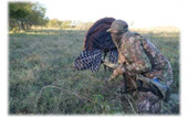 MOJO Outdoors Scoot-N-Shoot Gunner Turkey Decoy. CHICKEN PIECES.