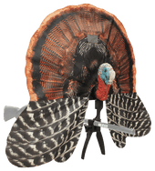 MOJO Outdoors Scoot-N-Shoot Gunner Turkey Decoy. CHICKEN PIECES.