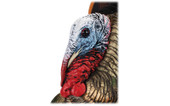 Avian-X HDR Heavy-Duty Realism Full-Body Strutter Turkey Decoy. CHICKEN PIECES