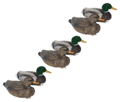 Mayhem Decoys Flocked-Head Mallard Floater Duck Decoy Pack 6 Pack. CHICKEN PIECES