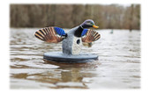 MOJO Outdoors Elite Series Floater Mallard Motorized Duck Decoy. CHICKEN PIECES