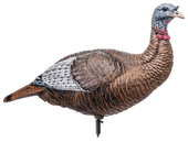 flextone Thunder Chick Upright Hen Turkey Decoy - Brown. CHICKEN PIECES