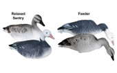 Mayhem Decoys Blue Goose and Juvie Snow Goose Decoy Combo. CHICKEN PIECES