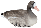 Heavy Hauler Outdoor Gear Full Body Painted Head Specklebelly Goose Decoys. CHICKEN PIECES