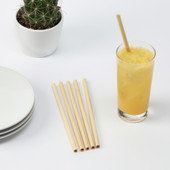 Bamboo Straws, Set of 10 by True