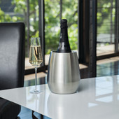 Stainless Steel Bottle Chiller by Viski®