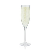 Hardy: Acrylic Champagne Glass