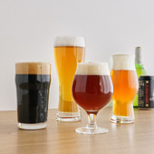 Beer Tasting Kit Set of 4 by True