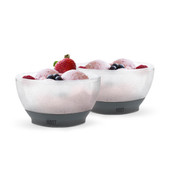 Ice Cream FREEZE Cooling Bowl Set of 2 in Gray by HOST®