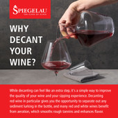 Spiegelau Definition 1L Wine Decanter and Stopper (set of 1)