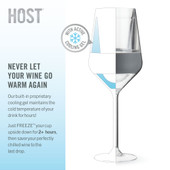 Wine FREEZE Stemmed in Gray (set of 2)  by HOST®