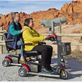 BuzzAround Innovative Design Extreme Series 4-Wheel Mobility Scooter-Chicken Pieces