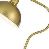60" Brass Traditional Shaped Floor Lamp With Antiqued Brass Dome Shade - Chicken Pieces