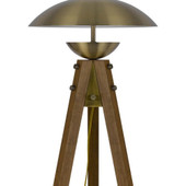 55" Brass Tripod Floor Lamp With Antiqued Brass Dome Shade - Chicken Pieces
