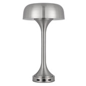 22" Nickel Metal Two Light Usb Table Lamp With Nickel Dome Shade - Chicken Pieces