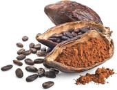  Rainforest supply Cacao Powder 