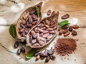  Rainforest supply Cacao Powder 