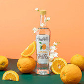 AMORETTI Amoretti Orange Blossom Craft Puree 1 Gallon - Immerse Your Creations 