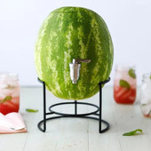 AMORETTI Amoretti Watermelon Craft Puree 1 Gallon - Quench Your Thirst 