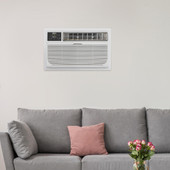 Pelonis® 10,000 BTU 230V Through-the-Wall Air Conditioner with Heat - Remote - Chicken Pieces