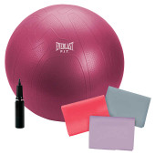 Everlast Exercise Ball and Stretch Bands Kit - Complete Workout Set - Chicken Pieces