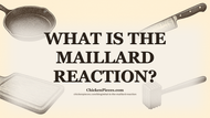 What Is the Maillard Reaction?