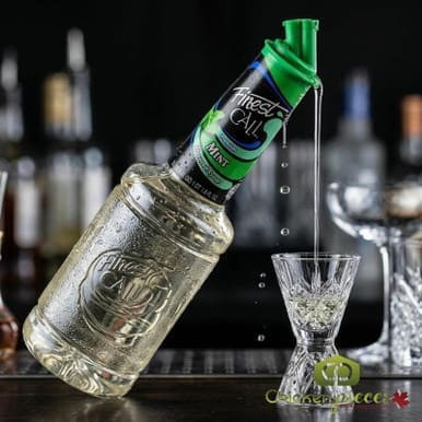 Finest Call Premium Mint Syrup Bulk Food Service 1 L