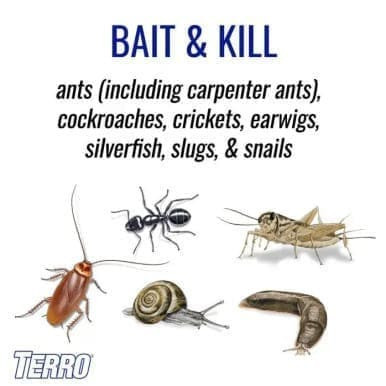 Terro T2600 Perimeter Ant Bait Plus | 2 lb. | Effective Pest Control