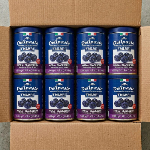 Fabbri Delipaste 1.5 kg (3.3 lbs) Blackberry Flavoring Paste-Chicken Pieces