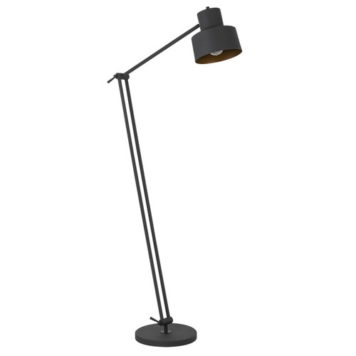 65" Black Adjustable Traditional Shaped Floor Lamp With Black Dome Shade - Chicken Pieces