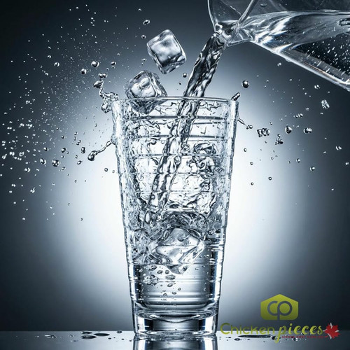 GET 20 oz Clear Plastic Tumbler (24/Case) - Elegant, Contemporary Drinkware - Chicken Pieces