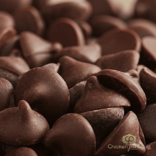 Guittard 25lbs/11.34 kgs 63% Bittersweet .9M Chips – Deep Chocolate with Vanilla Hints