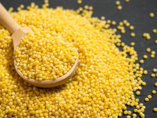 Chicken Pieces Organic Hulled Millet Bulk Food Service - 25lbs (11.34 kg) - Gluten-Free 