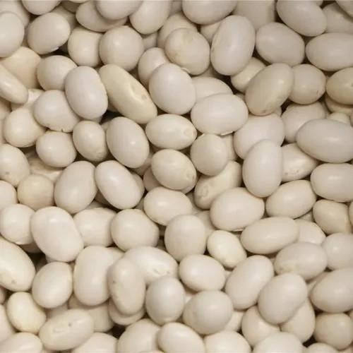 Chicken Pieces Organic Navy Beans Bulk size 25lbs/11.34 kgs 