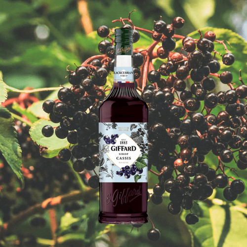  Giffard Giffard France Cassis - Black Currant Flavoring Syrup, 1L 