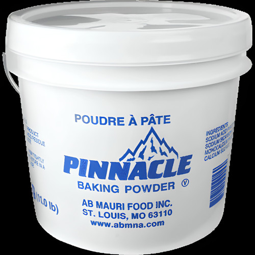 FLEISCHMANNS Pinnacle Baking Powder 5000 g