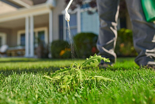 Ortho Killex 4L Ready to Use Lawn Weed Control with Wand
