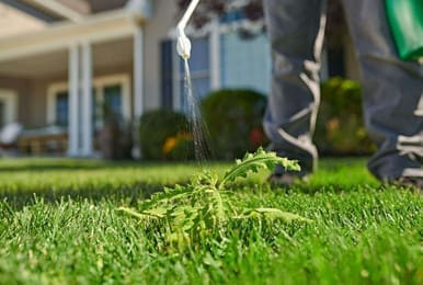 Ortho Killex Ready-to-Use 4L Lawn Weed Control with Comfort Wand Applicator
