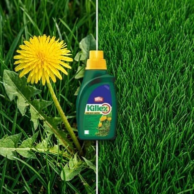 Ortho Killex 1L Lawn Weed Control Concentrate — 8,000 sq. ft. Coverage