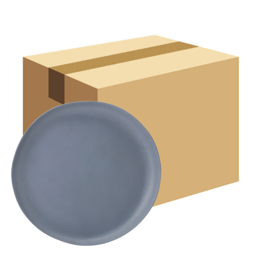 Bon Chef Matte Slate 10 1/2" Melamine Dinner Plate - 24/Case. CHICKEN PIECES.