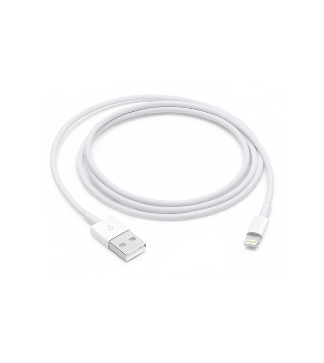Apple Lightning to USB cable (1m/2m)